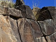 Springerville Petroglyphs