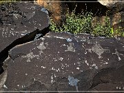 Springerville Petroglyphs