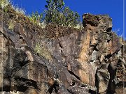 Springerville Petroglyphs