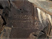 Springerville Petroglyphs