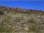 Springerville Petroglyphs