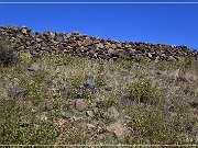 Springerville Petroglyphs