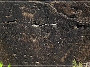 Springerville Petroglyphs