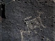 Springerville Petroglyphs