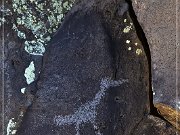 Springerville Petroglyphs