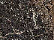 Springerville Petroglyphs