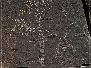 Springerville Petroglyphs