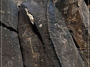 Springerville Petroglyphs