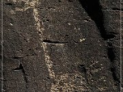 Springerville Petroglyphs