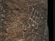 Springerville Petroglyphs