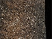 Springerville Petroglyphs