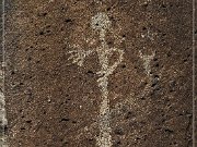 Springerville Petroglyphs