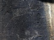 Springerville Petroglyphs