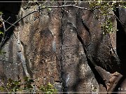 Springerville Petroglyphs