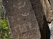 Springerville Petroglyphs