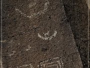 Springerville Petroglyphs