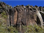 Springerville Petroglyphs