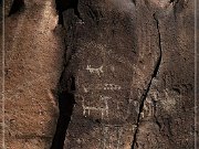 Springerville Petroglyphs