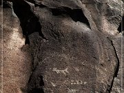 Springerville Petroglyphs