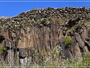 Springerville Petroglyphs