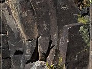 Springerville Petroglyphs