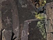 Springerville Petroglyphs