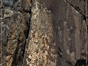 Springerville Petroglyphs