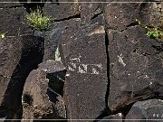 Springerville Petroglyphs