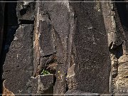 Springerville Petroglyphs