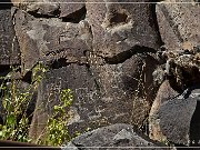 Springerville Petroglyphs