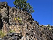 Springerville Petroglyphs