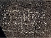 Springerville Petroglyphs