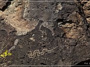 Springerville Petroglyphs