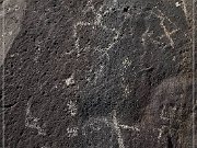 Springerville Petroglyphs