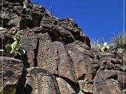 Springerville Petroglyphs