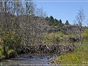 Springerville Petroglyphs