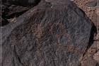 Texas Hill Petroglyphs