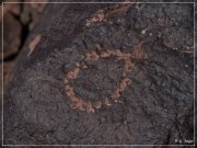 Texas Hill Petroglyphs