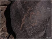 Texas Hill Petroglyphs