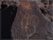 Texas Hill Petroglyphs