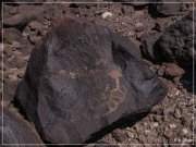 Texas Hill Petroglyphs