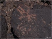 Texas Hill Petroglyphs