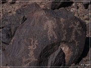 Texas Hill Petroglyphs