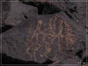 Texas Hill Petroglyphs