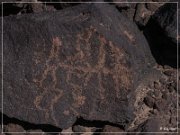 Texas Hill Petroglyphs