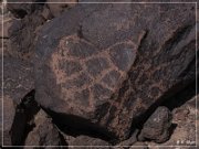 Texas Hill Petroglyphs