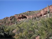 Tonto NM