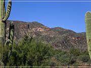 Tonto NM