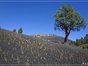 Sunset Crater NM