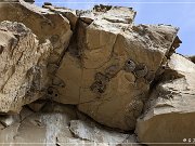 Legend Rock Petroglyph Site